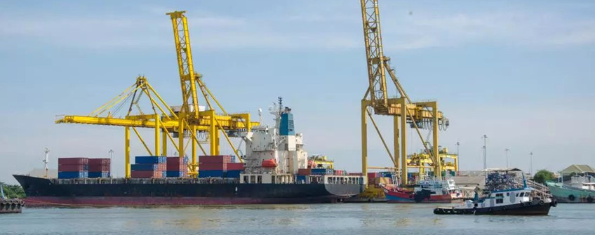 若何应对疫情下的海运市场困境？