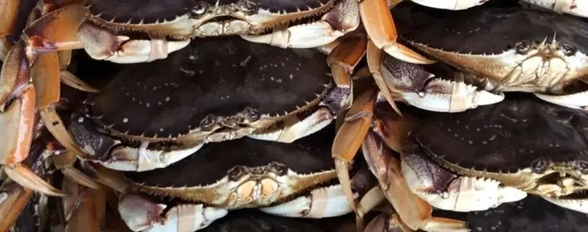 水产进口：海鲜进口从香港中转内地若何清关？