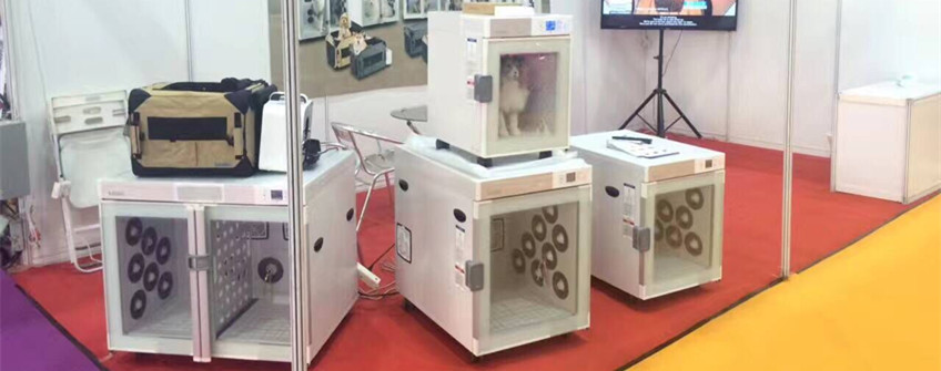 丽江清关：宠物护理仪进口清关流程及难点