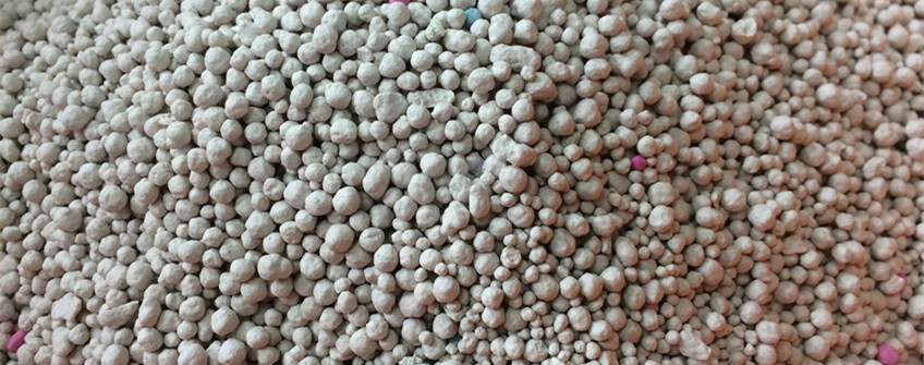 猫砂从国表若何进口到国内？