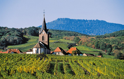 葡萄酒进口报关：法国红酒进口报关身分有哪些？