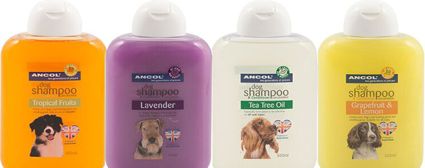 丽江进口报关：宠物洗澡露清关用度有哪些？